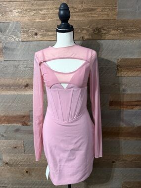 NWT Miss Circle Winston Blush Pink Mesh Corset Mini Dress